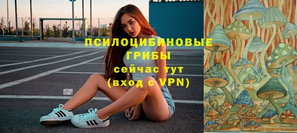 герыч Алзамай