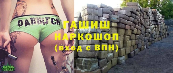 винт Ельня